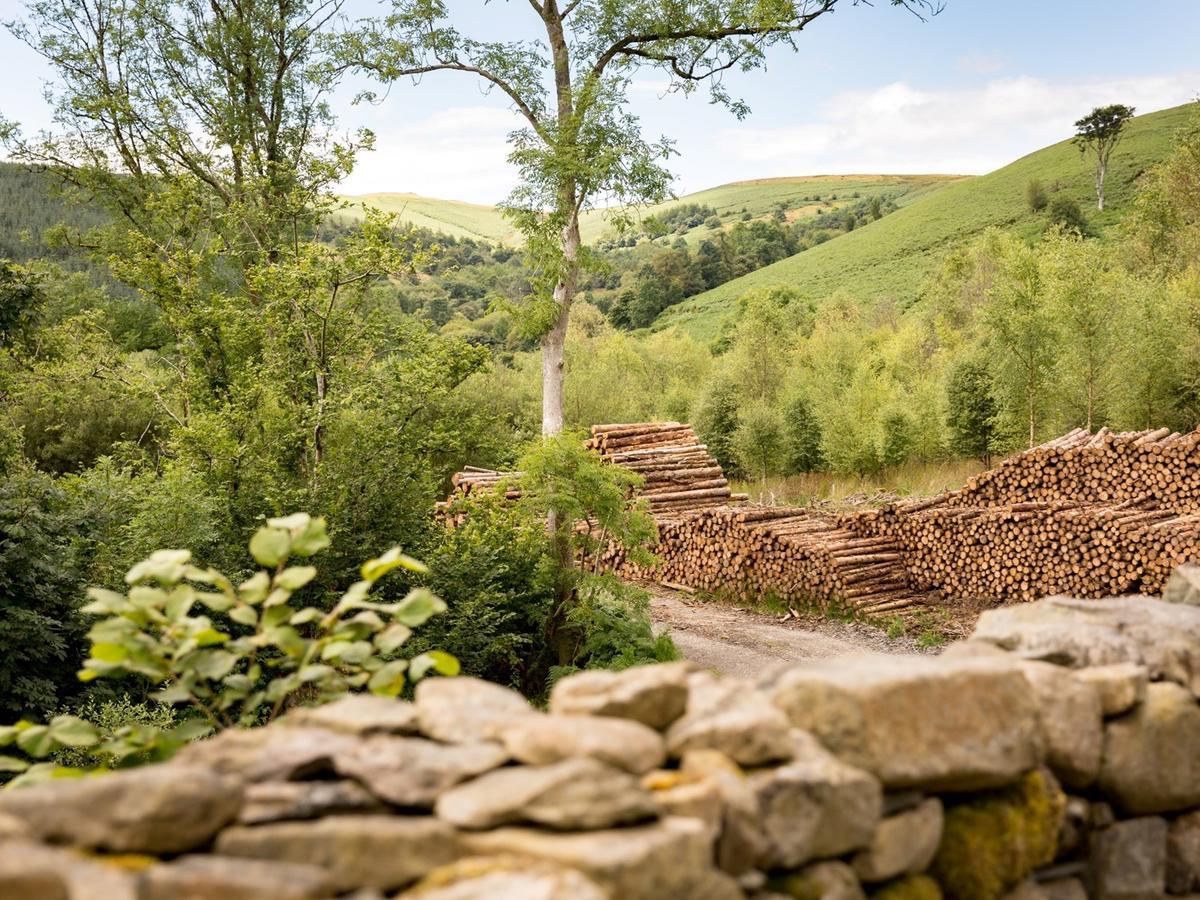 Newbridge on Wye Red Kite Barn - Charming Boutique Barn Conversion מראה חיצוני תמונה
